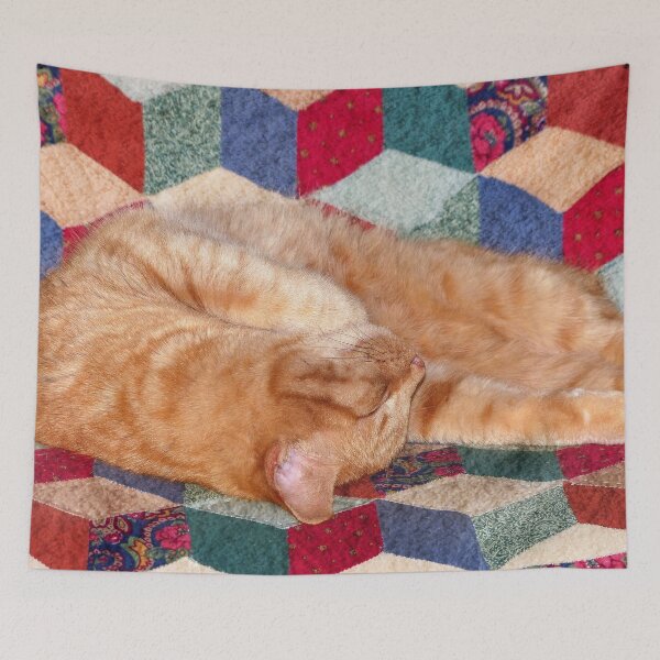 Item preview, Ginger Cat Napping designed and sold by Frankie Cat Photography.