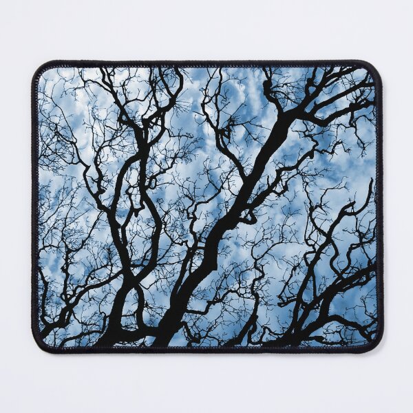 Item preview, OAK TREE BRANCHES AGAINST THE SKY. NO LEAF. PHOTOGRAPH designed and sold by 5hertz.