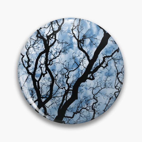 Item preview, OAK TREE BRANCHES AGAINST THE SKY. NO LEAF. PHOTOGRAPH designed and sold by 5hertz.