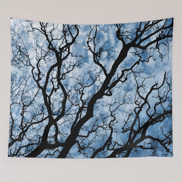 Item preview, OAK TREE BRANCHES AGAINST THE SKY. NO LEAF. PHOTOGRAPH designed and sold by 5hertz.
