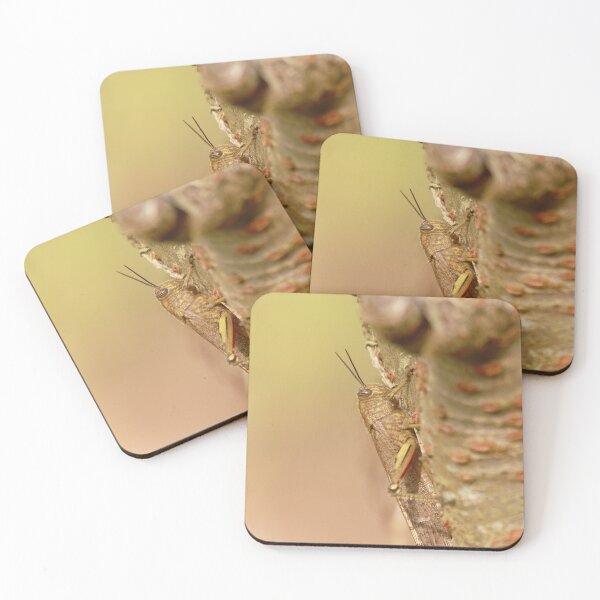 Item preview, Lovely locust designed and sold by miradorpictures.