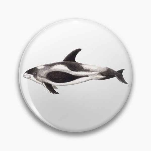 Item preview, White-beaked Dolphin  (Lagenorhynchus albirostris)  designed and sold by chloeyzoard.