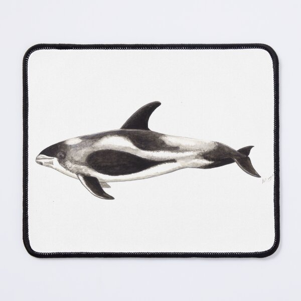 Item preview, White-beaked Dolphin (Lagenorhynchus albirostris) designed and sold by chloeyzoard.