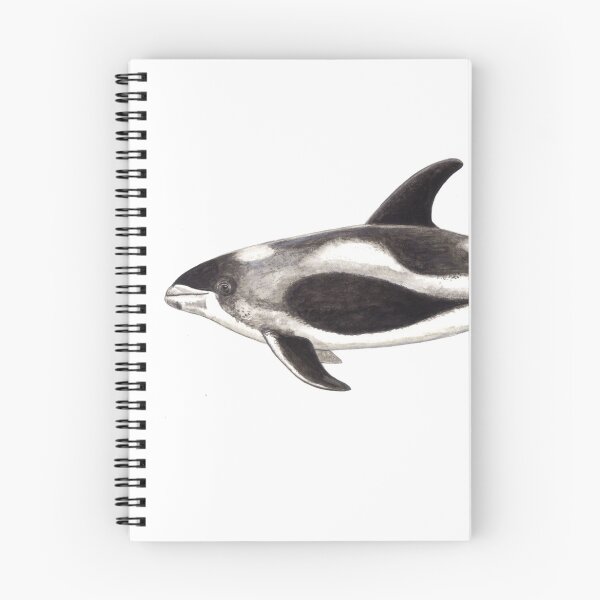 Item preview, White-beaked Dolphin  (Lagenorhynchus albirostris)  designed and sold by chloeyzoard.