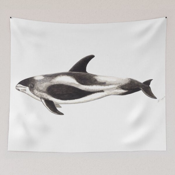 Item preview, White-beaked Dolphin  (Lagenorhynchus albirostris)  designed and sold by chloeyzoard.