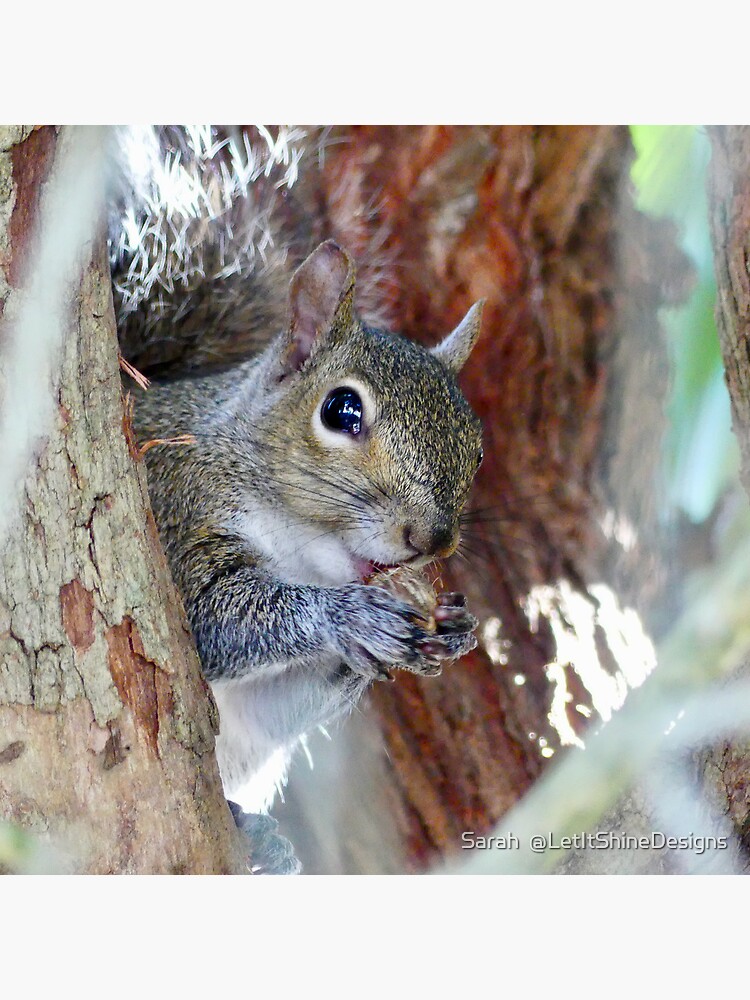 Squirrel discount tote bag