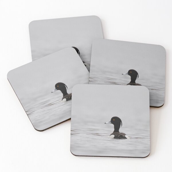 Item preview, Tufted duck tails designed and sold by miradorpictures.