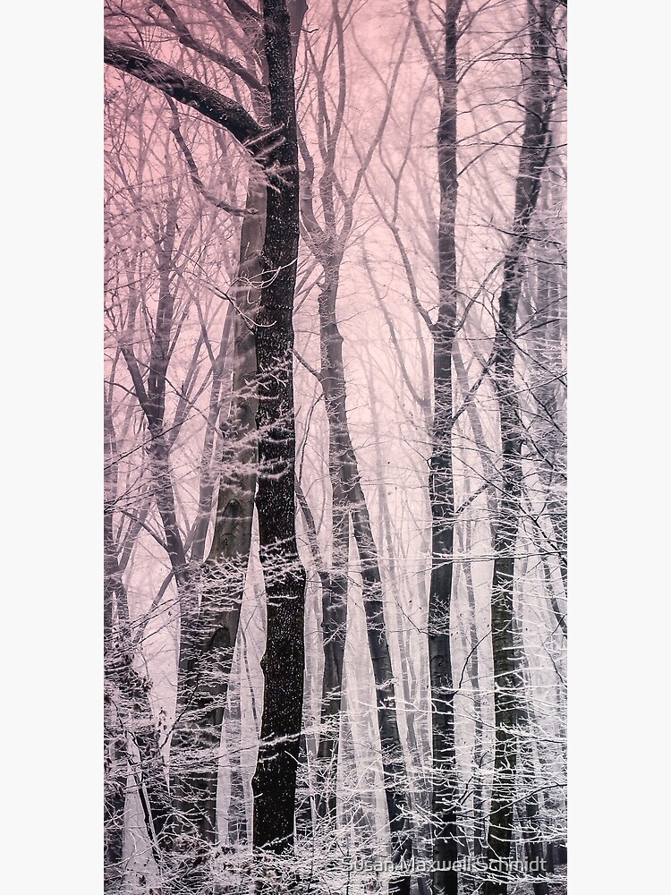 "Blush of Dawn" Poster for Sale by SMSFineArt Redbubble