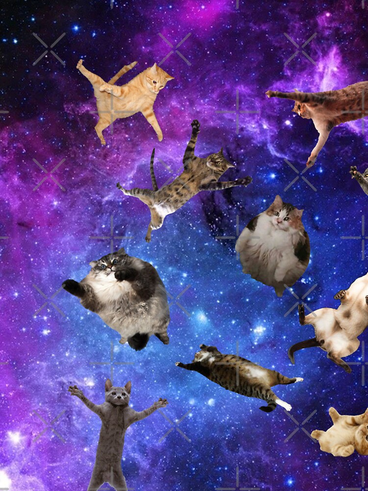 Space Cats