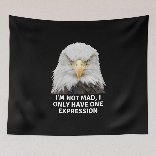 Item preview, Bald eagle with only one expression designed and sold by Vicente Saenz jr.