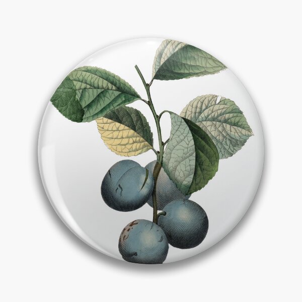 Item preview, Plum designed and sold by Adidit.