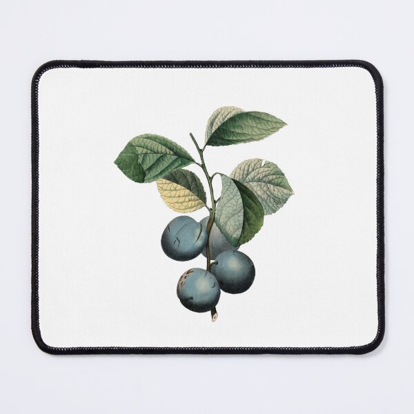 Item preview, Plum designed and sold by Adidit.