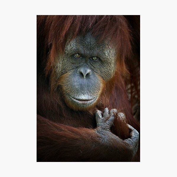 Emotion Photographic Print