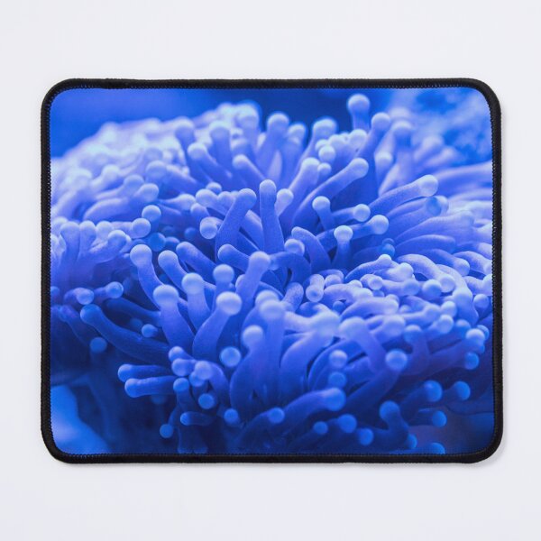 Item preview, Dark Blue Sea Anemone designed and sold by silviaol.