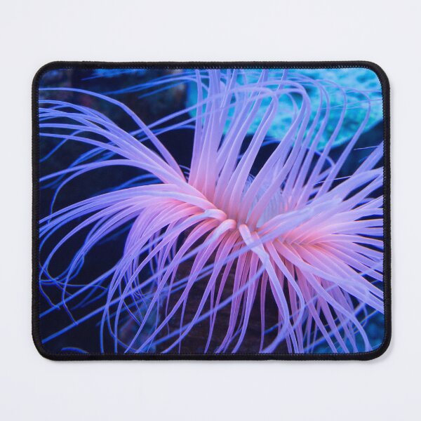 Item preview, Pink Purple Sea Anemone designed and sold by silviaol.