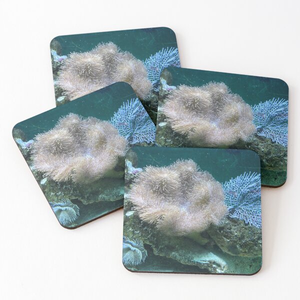 Item preview, Mixed Color Sea Anemone Speciaes designed and sold by silviaol.