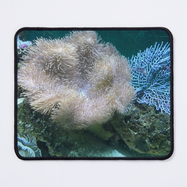 Item preview, Mixed Color Sea Anemone Speciaes designed and sold by silviaol.