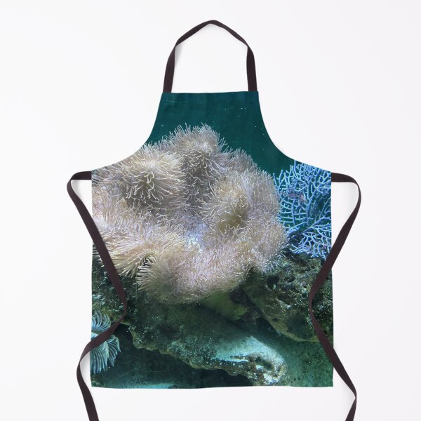 Item preview, Mixed Color Sea Anemone Speciaes designed and sold by silviaol.