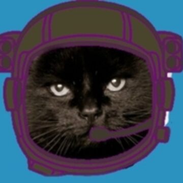 Artwork thumbnail, Space Kitties Reporting for Duty by genericllama