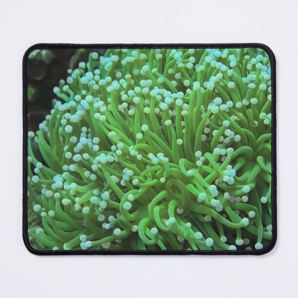 Item preview, Vibrant Green Sea Anemone designed and sold by silviaol.