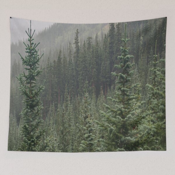 Item preview, Tall coniferous trees in a forest designed and sold by NewPrint.