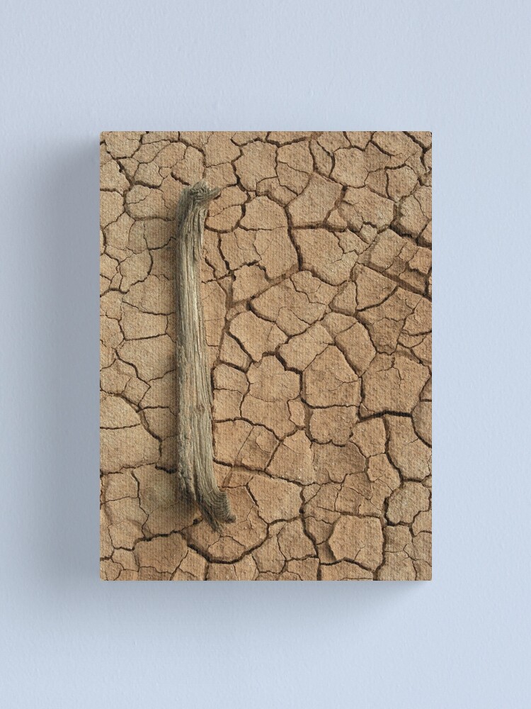 Alternate view of All Dried Up Canvas Print