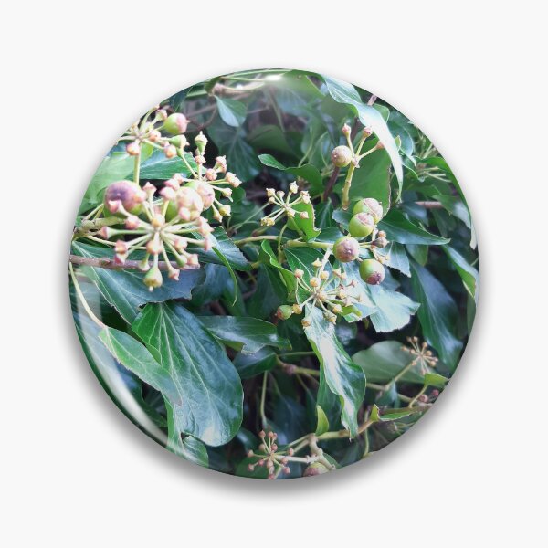 Item preview, Nature in bloom photograph  designed and sold by LukjanovArt.