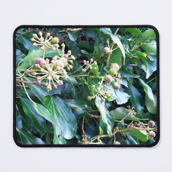 Item preview, Nature in bloom photograph designed and sold by LukjanovArt.