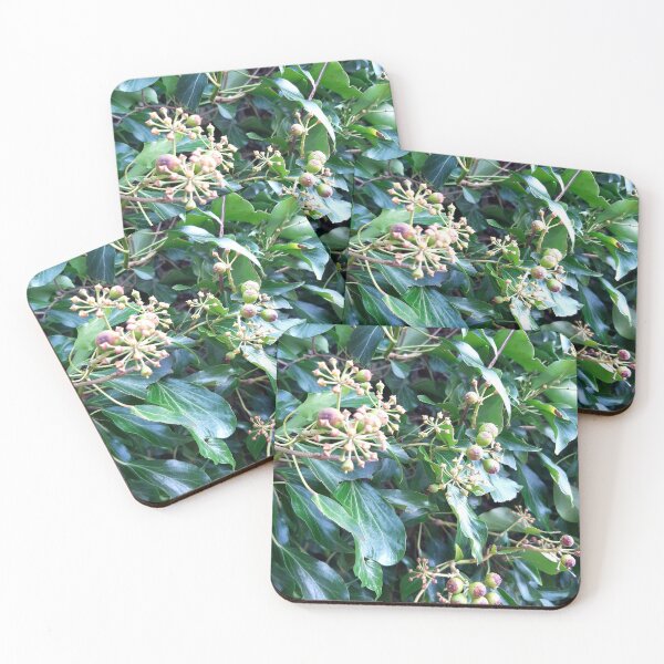 Item preview, Nature in bloom photograph  designed and sold by LukjanovArt.
