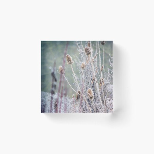 Item preview, Frosted plants designed and sold by PhotoTiphaine.