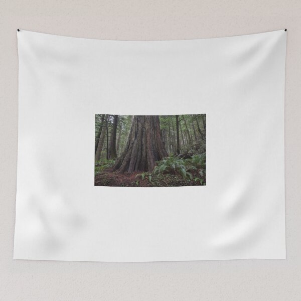 Item preview, In the redwoods I designed and sold by Richard Thelen.