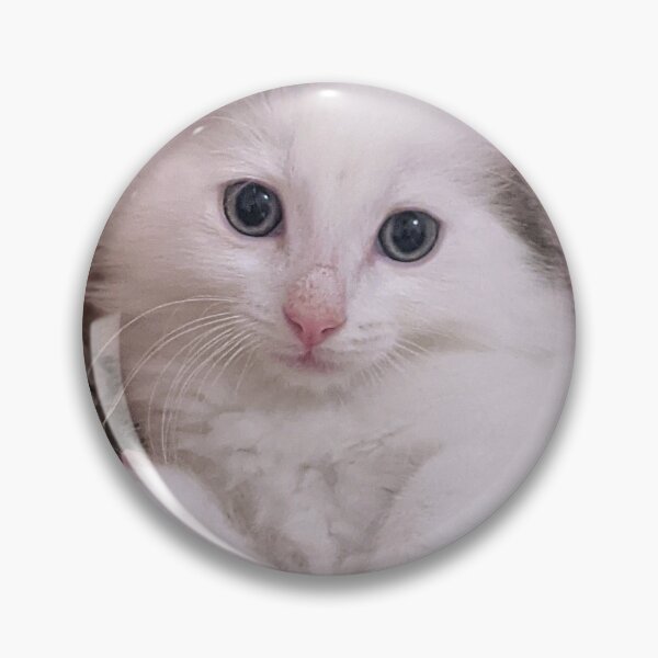 Item preview, Cute ragdoll Norwegian forest kitten designed and sold by Fluffycat2020.