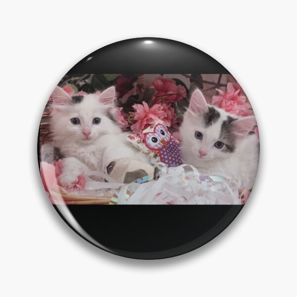 Item preview, Cute ragdoll Norwegian forest kittens in a basket designed and sold by Fluffycat2020.