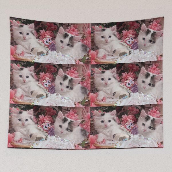 Item preview, Cute ragdoll Norwegian forest kittens in a basket designed and sold by Fluffycat2020.