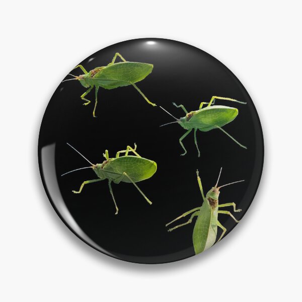 Item preview, Katydids designed and sold by homesteadswag.
