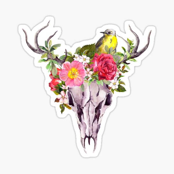 Boho skull with feathers, flowers, bird Sticker