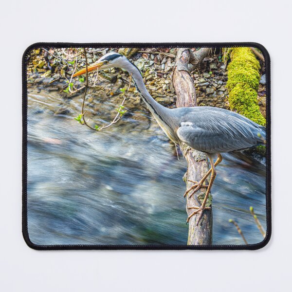Item preview, Heron on a tree designed and sold by StewieStrout.