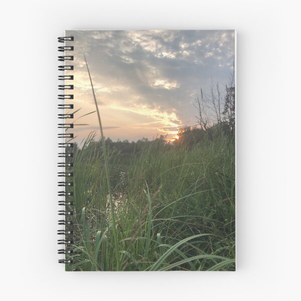 Item preview, Cattail sunset designed and sold by Phoebew03.
