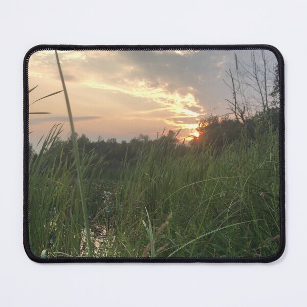 Item preview, Cattail sunset designed and sold by Phoebew03.