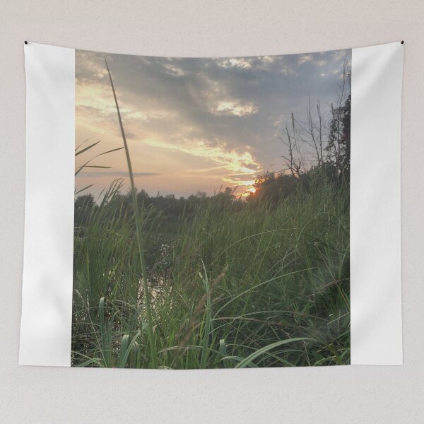 Item preview, Cattail sunset designed and sold by Phoebew03.