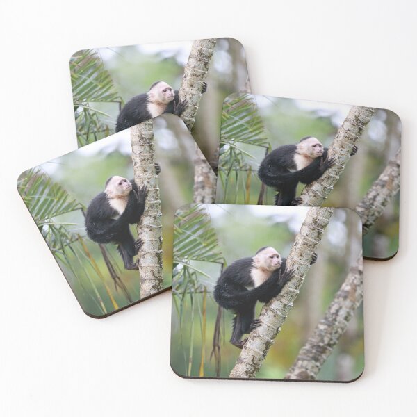 Item preview, Capuchin Monkey designed and sold by mlorenz.