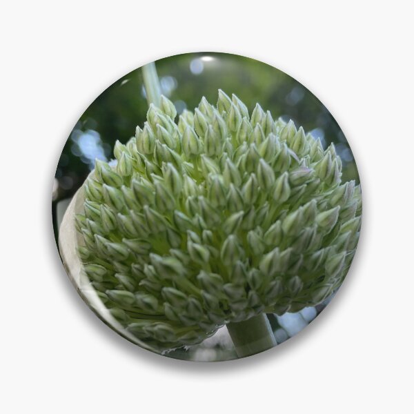Item preview, Allium,white flower     by Lorraine (My- Joy) designed and sold by Lorraine Lashley  - My Joy..