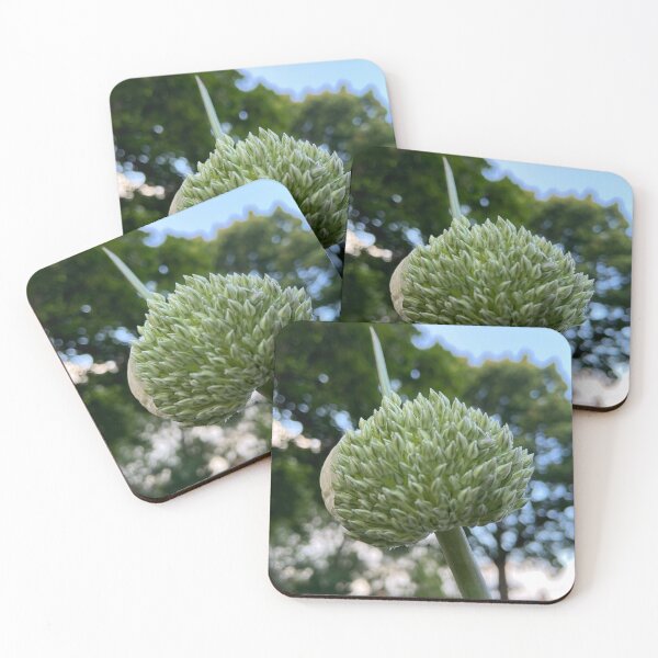Item preview, Allium,white flower     by Lorraine (My- Joy) designed and sold by Lorraine Lashley  - My Joy..