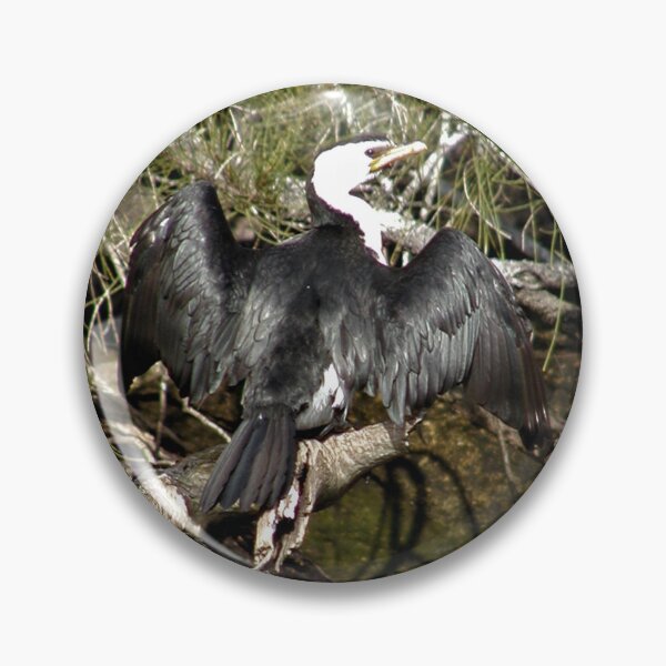 Item preview,  Australian Pied Cormorant Drying Wings in The Sun  designed and sold by MottoDigging.