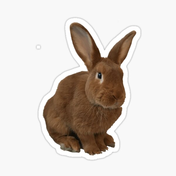 Item preview, Bunny designed and sold by generalorgana.