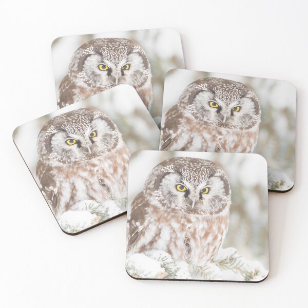Item preview, Boreal Owl designed and sold by Jukka Jantunen.