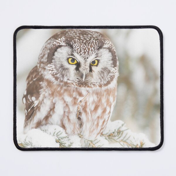 Item preview, Boreal Owl designed and sold by Jukka Jantunen.
