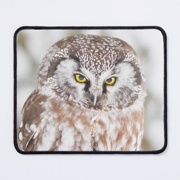 Item preview, Boreal Owl designed and sold by Jukka Jantunen.