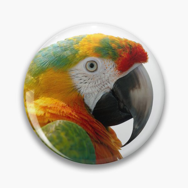 Item preview, Parrot designed and sold by Robert-Store.