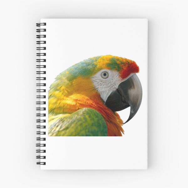 Item preview, Parrot designed and sold by Robert-Store.